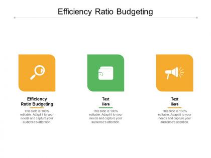 Efficiency ratio budgeting ppt powerpoint presentation icon ideas cpb