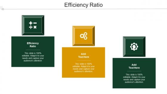 Efficiency Ratio Ppt Powerpoint Presentation Ideas Example Cpb
