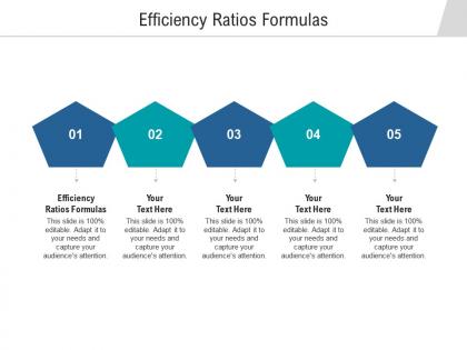Efficiency ratios formulas ppt powerpoint presentation portfolio tips cpb