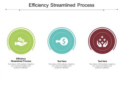 Efficiency streamlined process ppt powerpoint summary visual aids cpb