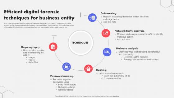 Efficient Digital Forensic Techniques For Business Entity
