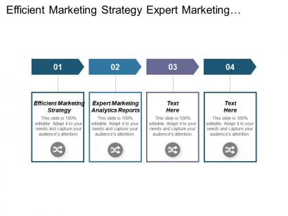 Efficient marketing strategy expert marketing analytics reports marketing strategies cpb