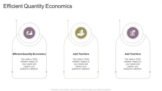 Efficient Quantity Economics In Powerpoint And Google Slides Cpb