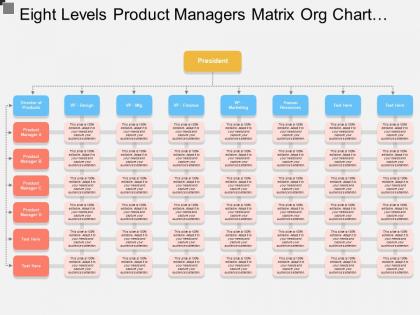 Eight levels product managers matrix org chart template