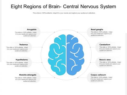 Eight regions of brain central nervous system