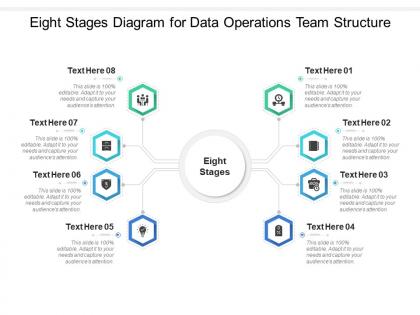 Eight stages diagram for data operations team structure infographic template