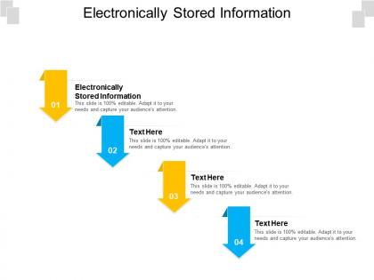 Electronically stored information ppt powerpoint presentation ideas show cpb