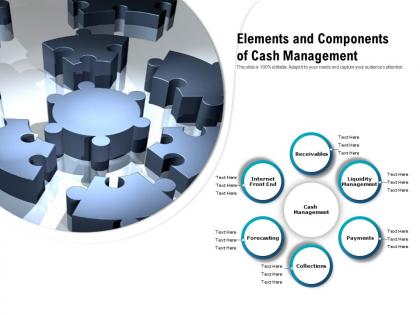 Elements and components of cash management