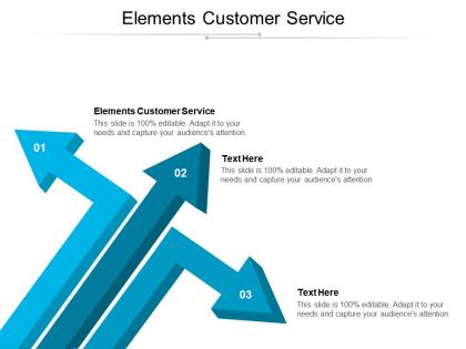 Elements customer service ppt powerpoint presentation infographics tips cpb