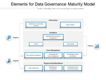 Elements for data governance maturity model