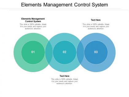 Elements management control system ppt powerpoint presentation pictures cpb