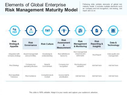 Elements of global enterprise risk management maturity model