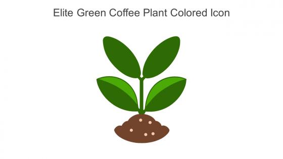 Elite Green Coffee Plant Colored Icon In Powerpoint Pptx Png And Editable Eps Format