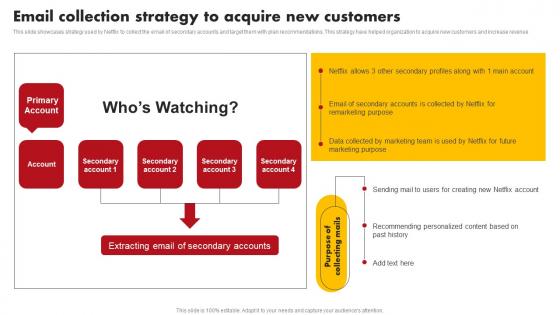 Email Collection Strategy To Acquire Comprehensive Marketing Mix Strategy Of Netflix Strategy SS V