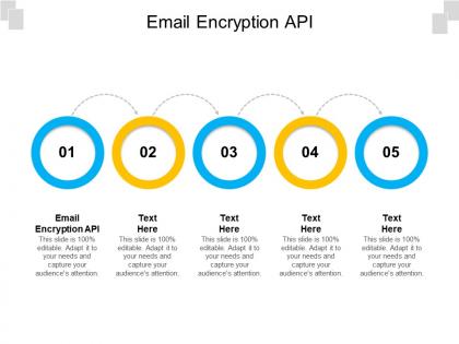 Email encryption api ppt powerpoint presentation styles slides cpb