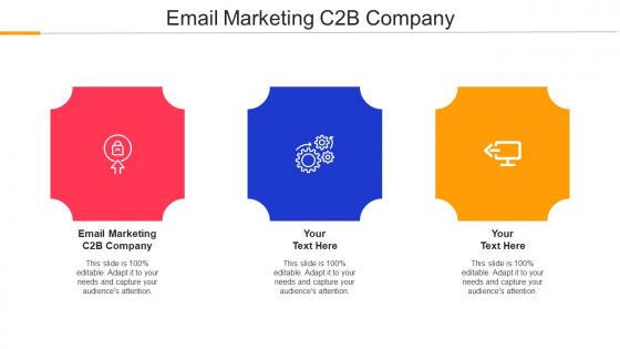 Email Marketing C2b Company Ppt Powerpoint Presentation Gallery Slides Cpb