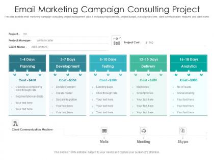 Email marketing campaign consulting project