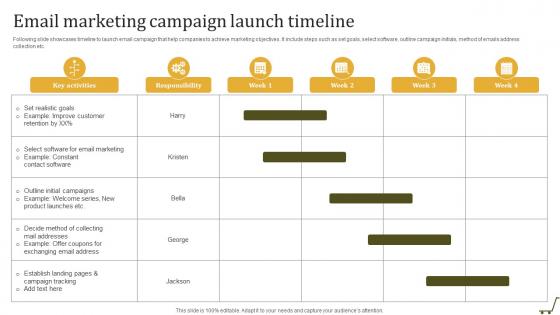 Email Marketing Campaign Launch Timeline Utilizing Online Shopping Website To Increase Sales