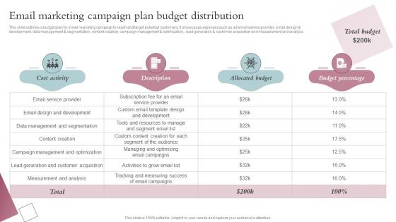 Email Marketing Campaign Plan Budget Distribution Spa Business Performance Improvement Strategy SS V