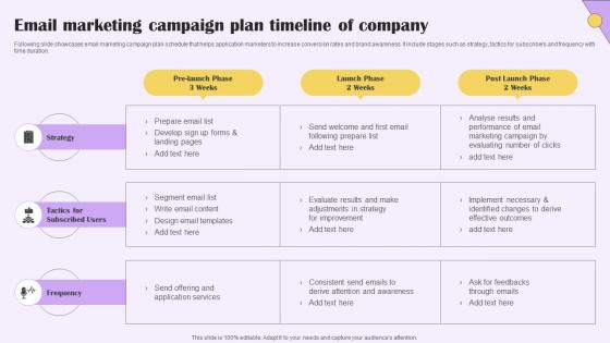 Email Marketing Campaign Plan Timeline Implementing Digital Marketing For Customer