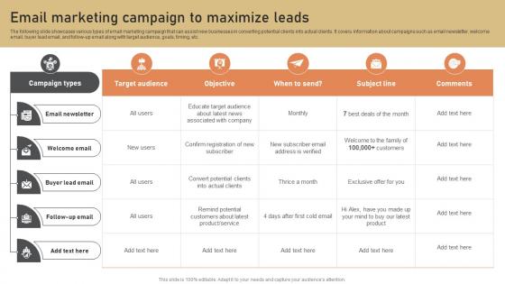 Email Marketing Campaign To Maximize Leads Low Budget Marketing Techniques Strategy SS V