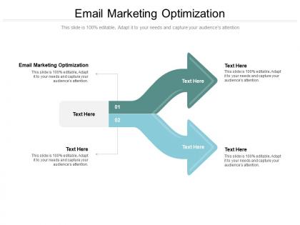 Email marketing optimization ppt powerpoint presentation professional skills cpb