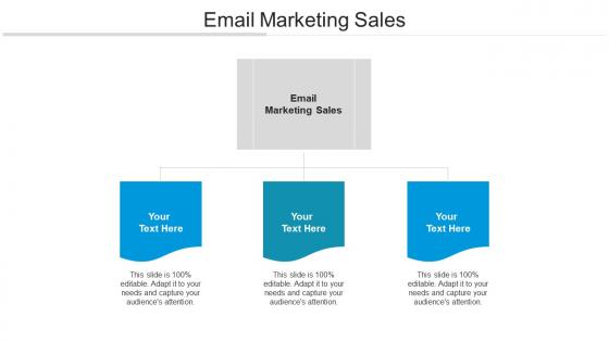 Email marketing sales ppt powerpoint presentation layouts vector cpb