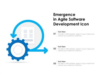 Emergence in agile software development icon