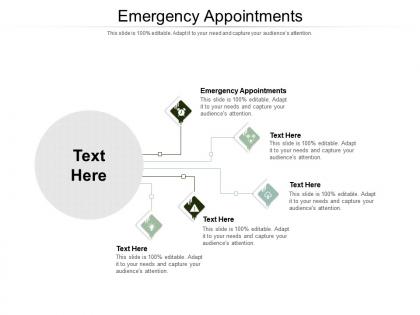 Emergency appointments ppt powerpoint presentation layouts aids cpb