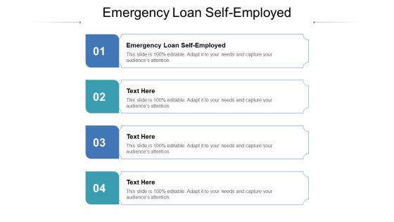 Emergency loan self employed ppt powerpoint presentation professional diagrams cpb