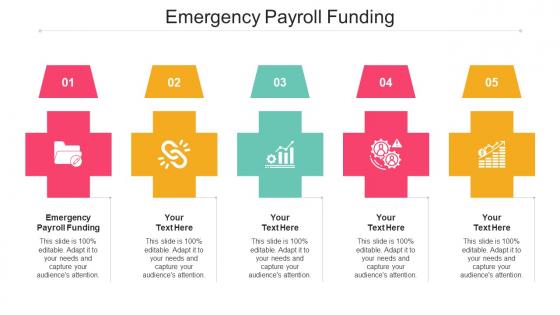 Emergency Payroll Funding Ppt Powerpoint Presentation Outline Professional Cpb