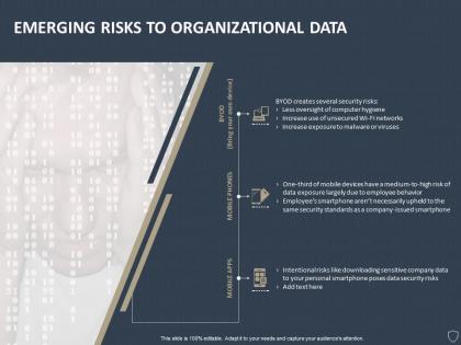 Emerging risks to organizational data ppt powerpoint presentation layouts