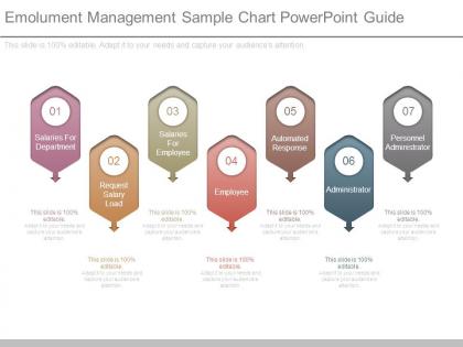 Emolument management sample chart powerpoint guide