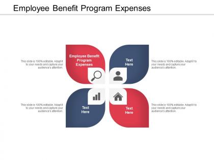 Employee benefit program expenses ppt powerpoint presentation file structure cpb