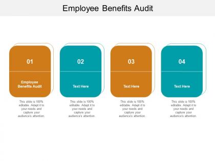 Employee benefits audit ppt powerpoint presentation portfolio graphics design cpb
