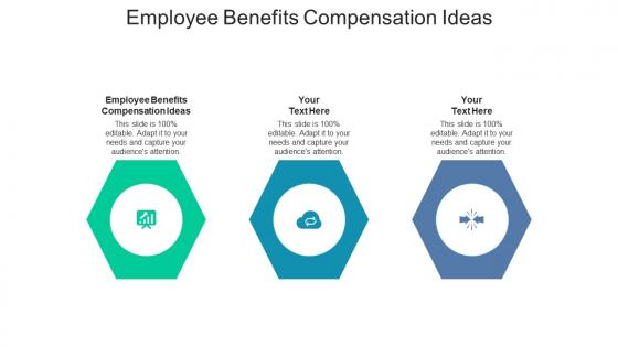 Employee benefits compensation ideas ppt powerpoint presentation icon portrait cpb