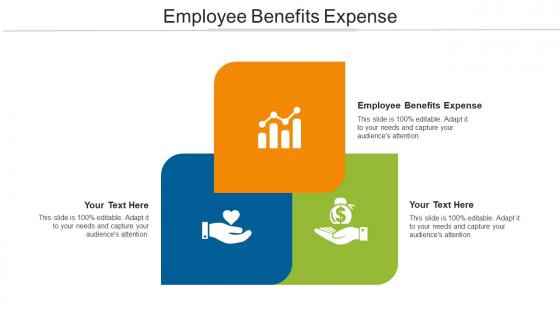 Employee Benefits Expense Ppt Powerpoint Presentation Portfolio Slide Portrait Cpb