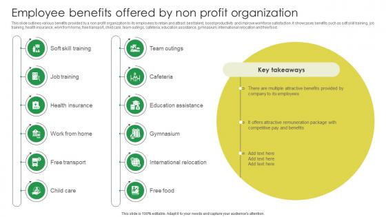 Employee Benefits Offered By Non Profit Organization Marketing Strategies For Job Promotion Strategy SS V