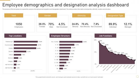 Employee Demographics And Designation Analysis Dashboard
