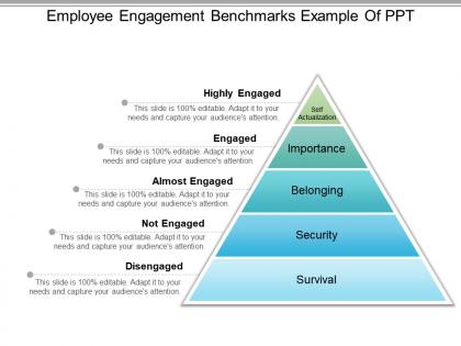 Employee engagement benchmarks example of ppt