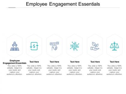 Employee engagement essentials ppt powerpoint presentation infographics display cpb