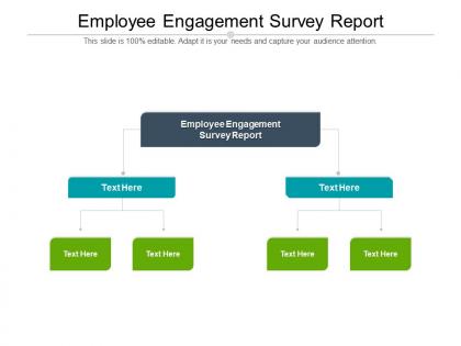 Employee engagement survey report ppt powerpoint presentation slides gridlines cpb