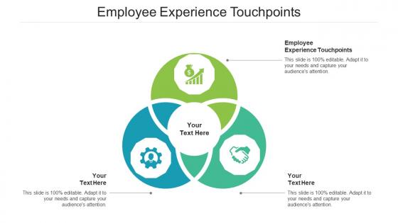 Employee Experience Touchpoints Ppt Powerpoint Presentation Outline Designs Download Cpb