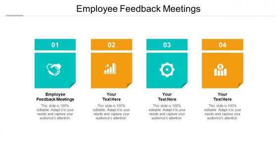 Employee feedback meetings ppt powerpoint presentation outline portfolio cpb