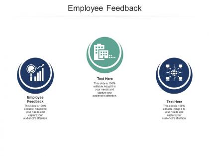 Employee feedback ppt powerpoint presentation inspiration background cpb