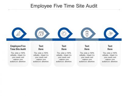 Employee five time site audit ppt powerpoint presentation icon vector cpb