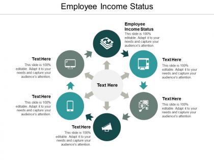 Employee income status ppt powerpoint presentation ideas designs cpb