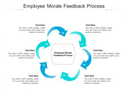 Employee morale feedback process ppt powerpoint presentation layouts sample cpb