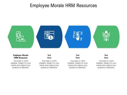 Employee morale hrm resources ppt powerpoint presentation infographics background image cpb