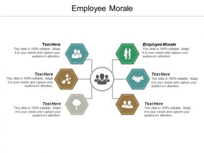 Employee morale ppt powerpoint presentation gallery themes cpb